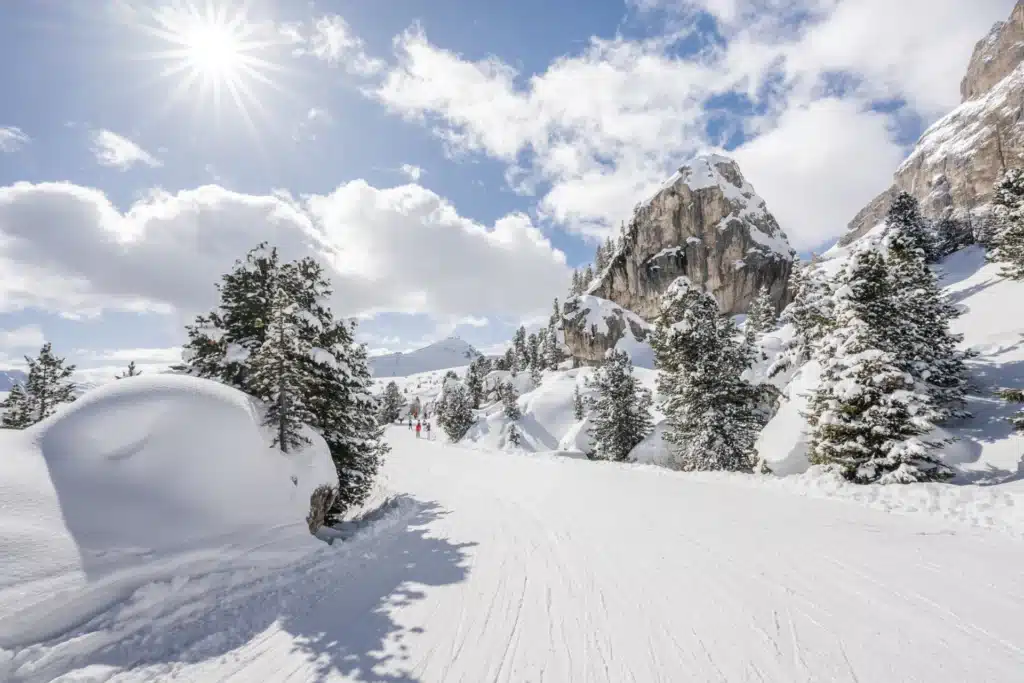 ©wisthaler.com 24 01 dolomitisuperski albolina HW88510 1